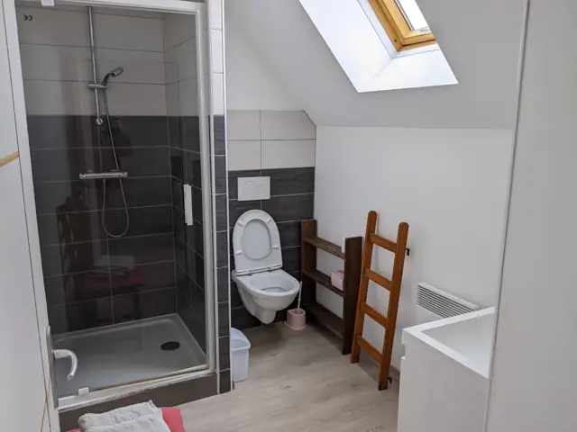Salle de douche avec toilettes