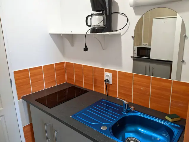 Coin cuisine avec évier et plaques de cuisson