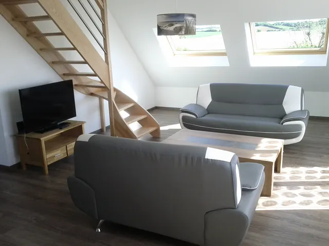 Salon avec télévision