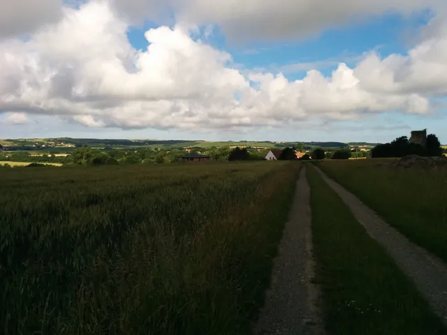 Le chemin et la campagne autour de la maison